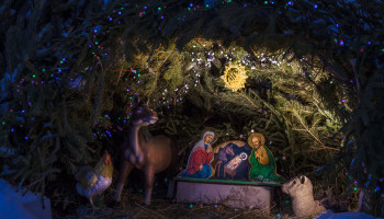 Рождество Христово в Николо-Берлюковской пустыни