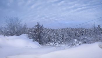 Зима в Берлюках