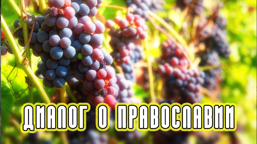 «Диалог о православии» от 31.05.2023 (Виноградная Лоза)